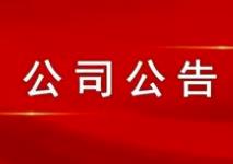 監事會對公司2022年股權激勵計劃（草案）的核查意見