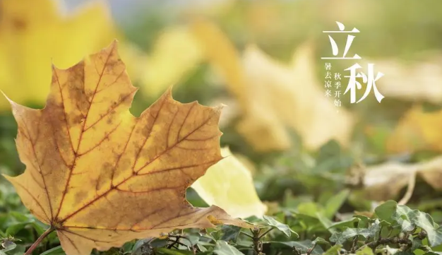 立秋節氣